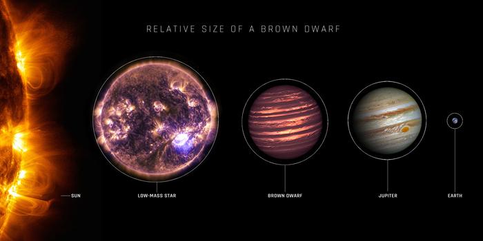 Relative size of brown dwarf stars