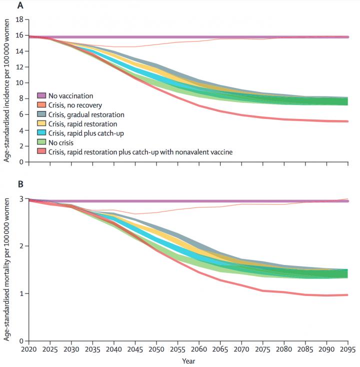 Impact of the Vaccine Crisis and Potential Recovery Scenarios