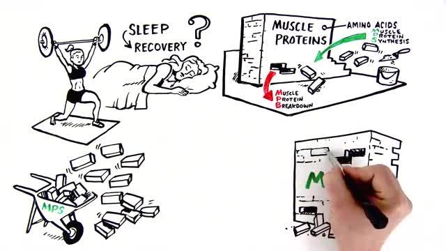 Don't Waste Another Night's Sleep: Ascent Protein's Micellar Casein Helps Muscles Recover & Rebuild