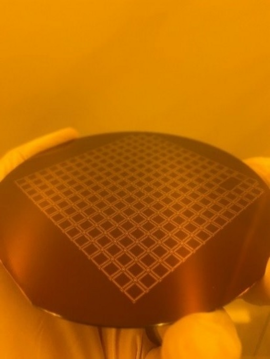 wafer-scale devices