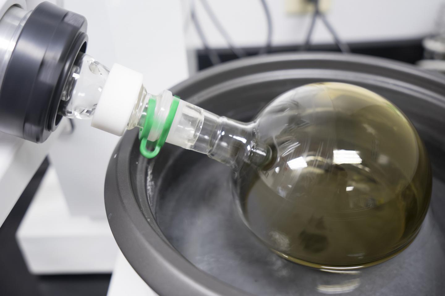 Akanocure Drug Discovery Platform