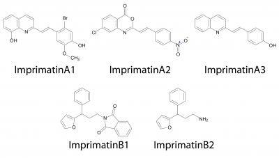 Molecular Structure of Imprimatins