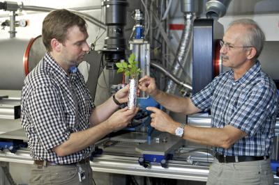 Sascha Oswald and Eberhard Lehmann