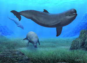 Reconstruction of a marine landscape of the Early Pliocene