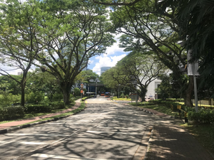 Outdoors at the NUS campus