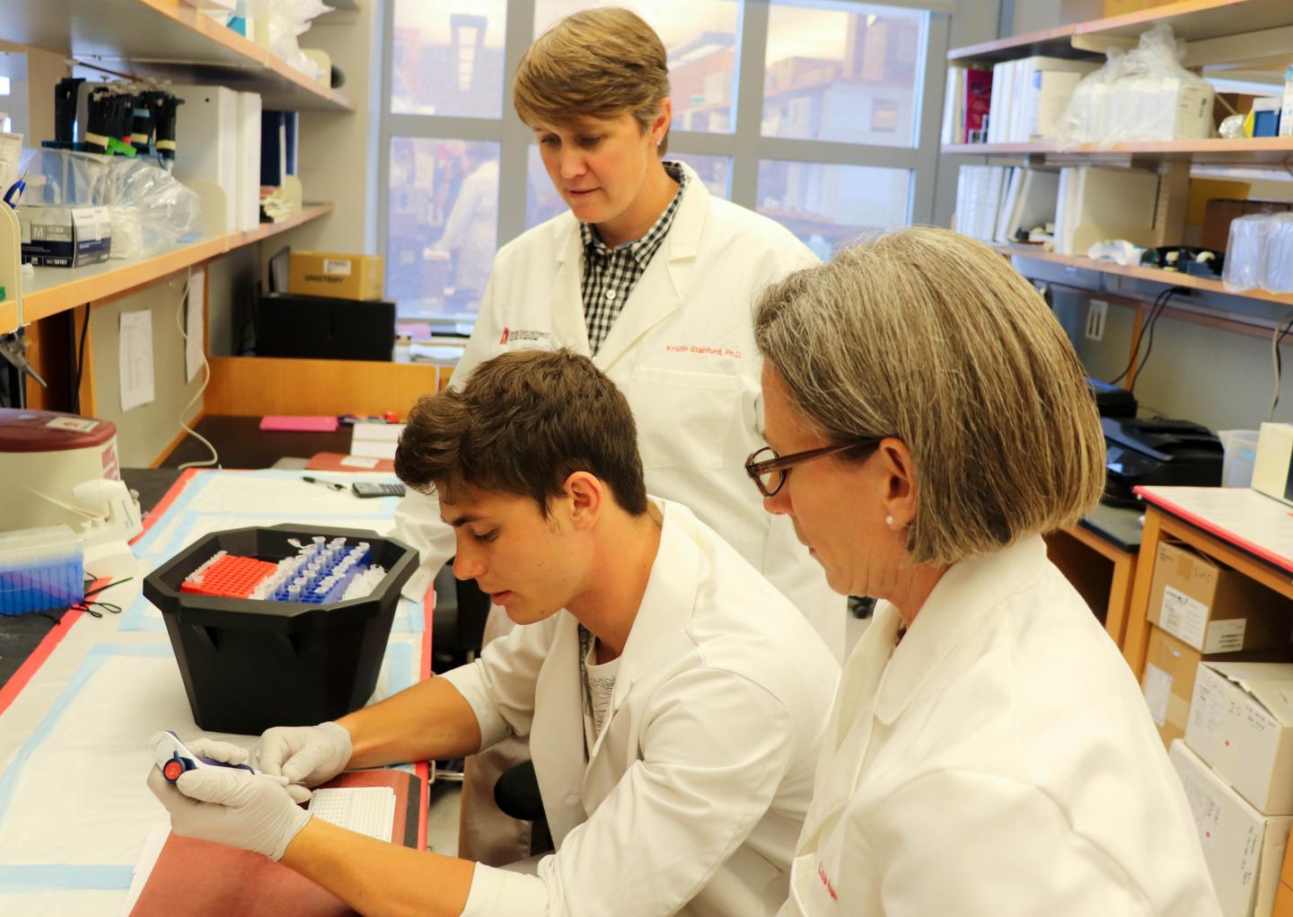 Researchers Examine the Small-RNA