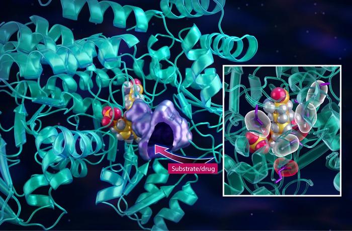 Drilling Down to the Details in Cancer Research