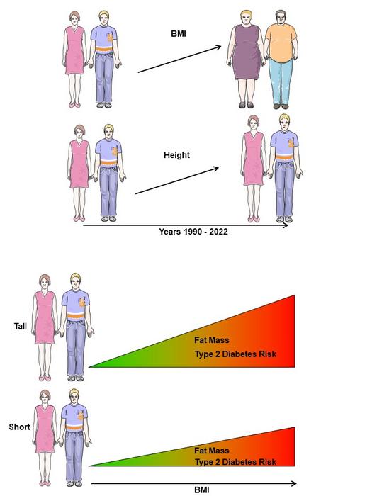 The cardiometabolic risk of a higher body mass index may be underestimated in taller grown populations worldwide
