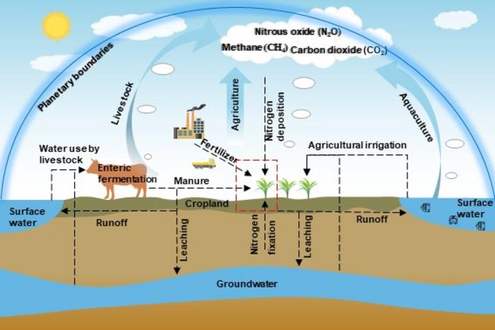 Resource use and environmental impacts at the production stage of the food system under PBs constraints