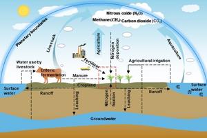 Resource use and environmental impacts at the production stage of the food system under PBs constraints