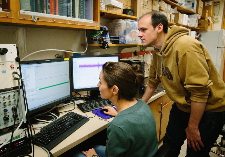 Chlo&eacute; Lahond&egrave;re and Cl&eacute;ment Vinauger, Virginia Tech
