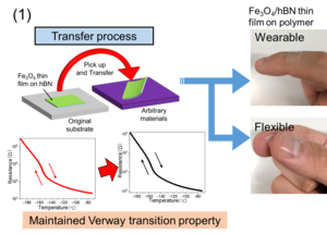 Fig.1