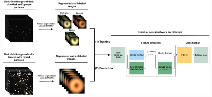 Deep learning with image 2024 processing