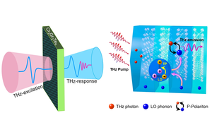 Researchers Developed a New Phonon-based and Magneto-tunable Monochromatic Terahertz Source