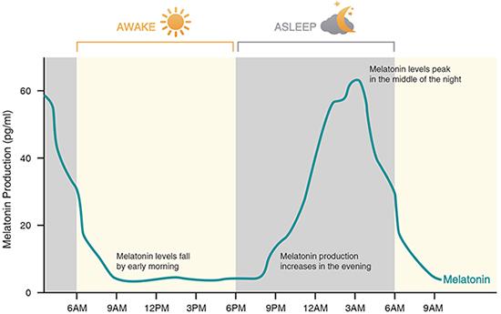 Blue enriched white light to wake you up in t EurekAlert