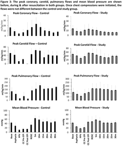 Figure 3: The peak coronary, carotid, pulmonary flows and mean blood pressure are shown before, during and after resuscitation in both groups.