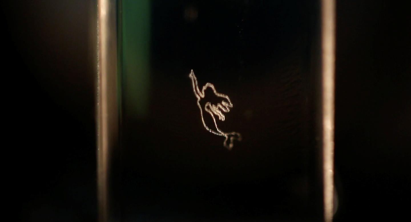 Mermaid on Bubble Display