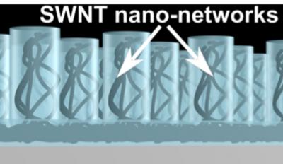 Nano-Engineered SWNT Network Formation