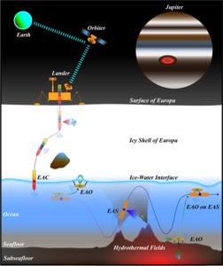 A Concept of Operations for Exo-AUV System (ConOps for MESA)