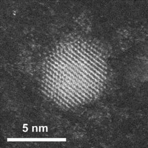Gold nanoparticle under the scope