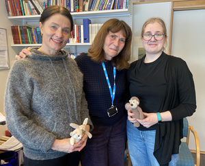 Stuffed animals help researchers test children's comprehension