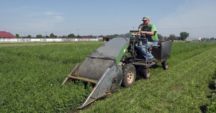 Bianka Simon Fuzaro, 	American Society of Agronomy