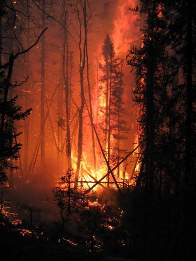 Wildfires in Alaskan Interior (1 of 3)