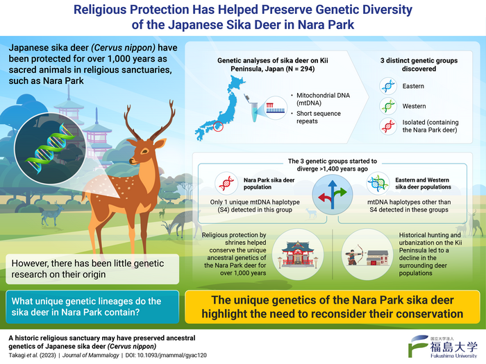 Deciphering the unique genetics of the Japanese sika deer in Nara Park