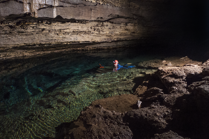 Dr. Matthew L. Niemiller snorkels in Shelta Cave