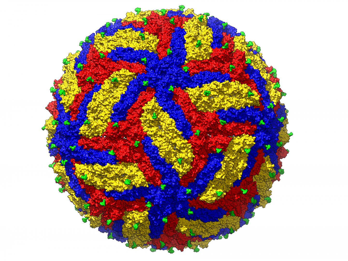 Cryo-EM Structure of Mature Zika Virus at 3.1Å Resolution