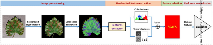 Image-based plant disease detection optimized by SSAFS