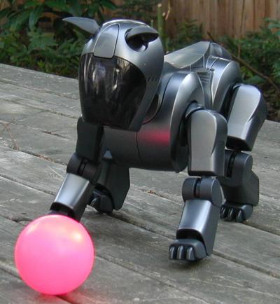 Robot Dog