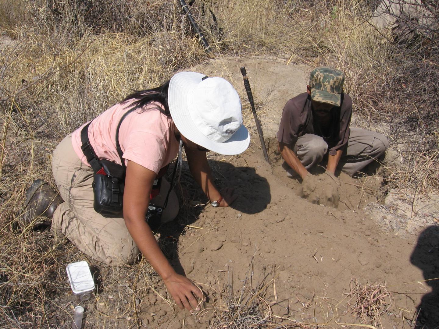 Fieldwork on Beetle Poison