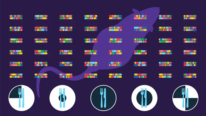 Genetic diversity key to The Jackson Laboratory longevity study.