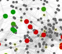 Zoom-In on Community Metabolic Network of Gut Flora