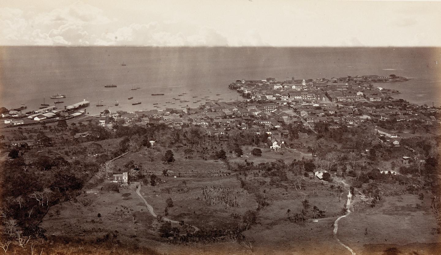 Environs of the Eufriesea surinamensis Nesting Site in Casco Viejo, Panamá in 1875