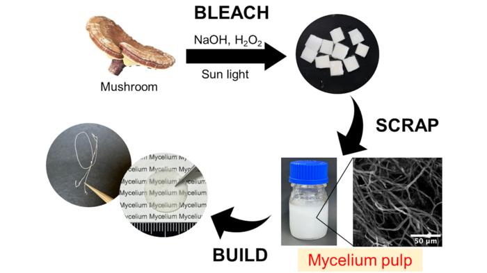 A novel strategy for extracting white mycelia