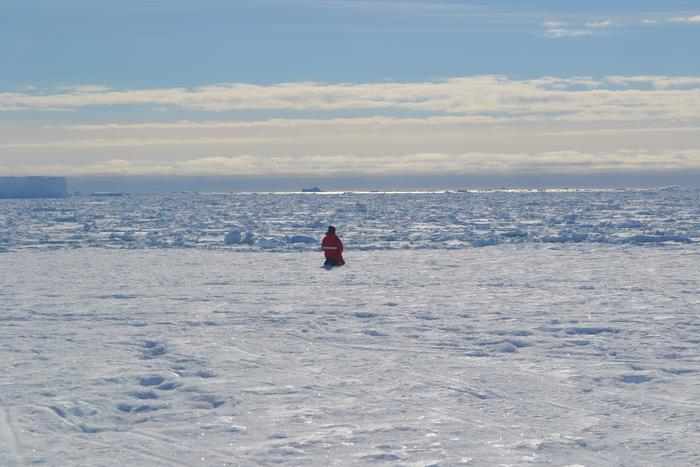 Antarctica © Charité | Alexander Stahn