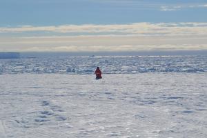 Antarctica © Charité | Alexander Stahn