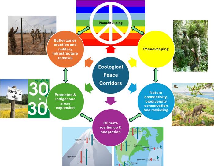 Ecological Peace Corridors