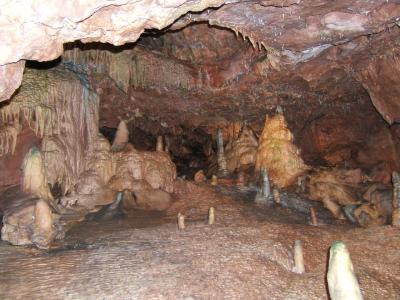 Jawbone Found in England is from the Earliest Known Modern Human in Northwestern Europe