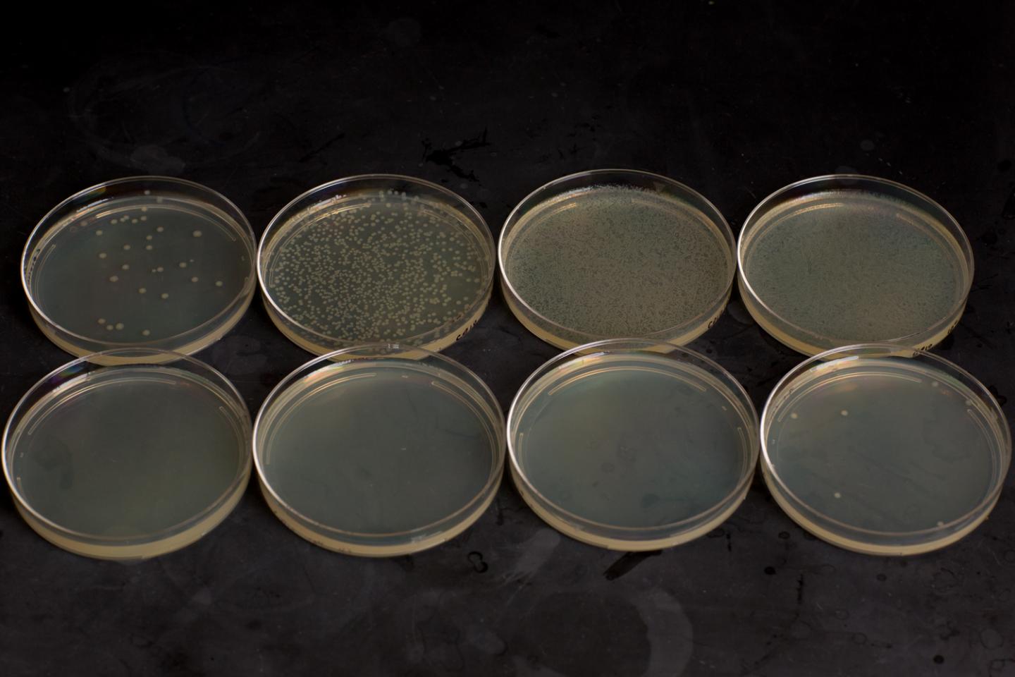 Temperature-Dependent 