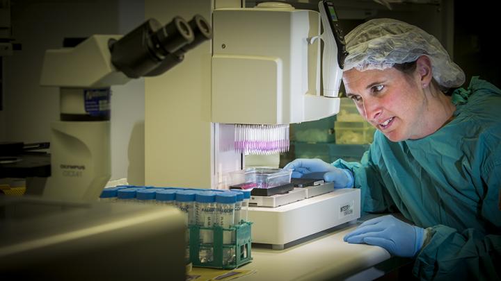 Linda Fitzgerald, Australian National University