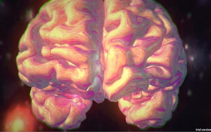 Personalized Virtual Brain