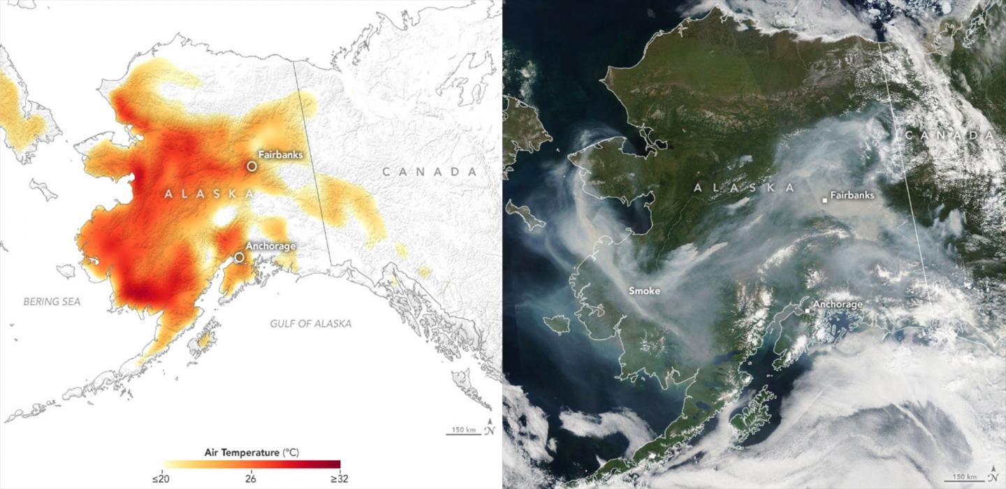 Satellite image of the Alaskan. The Atlas of climate change. Heatwave Maps from NASA. Аляска тепло