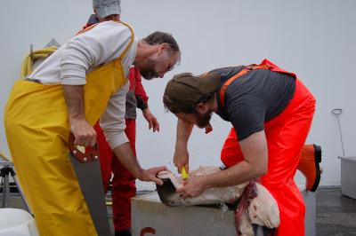 Researchers (1 of 2)