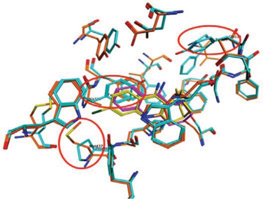 New Chromenone Derivatives