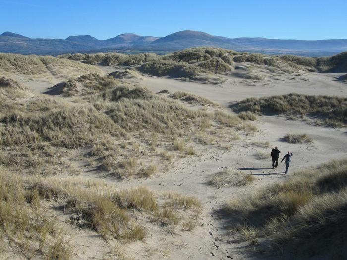 Scientists walk near the site of Mochras Farm