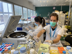 Researchers working in lab