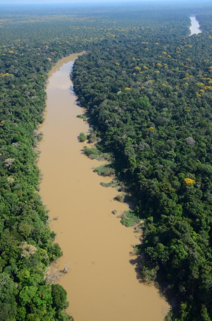 An aerial photo of the Algod&oacute;n River flowing through a forest of the Amazon Basin in the remote northeastern corner of Peru